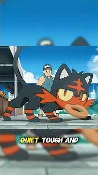 The Sad Truth About Ash's Litten