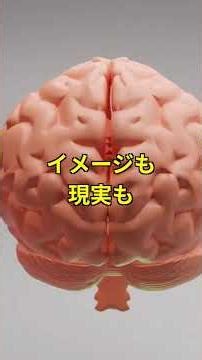 トレーニング前のメンタルイメージング5分で筋出力が25%向上！脳内リハーサルが神経筋連結を強化する科 #筋トレ #ワークアウト #トレーニング