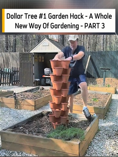 Innovative Garden Hacks Using Dollar Tree Items - Part 3