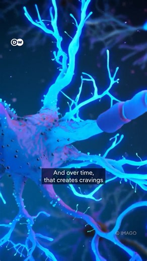 Hooked on v@ping – What are the Risks? V@ping may be seen as cool or a safer alternative to sm0king. But there are some important facts to consider. #vaping #vape #smoke #medicine #novape #vapefree #stayhealthy #STEMTok #sciencetok #science #learnontiktok #dwscience #dwhealth | TV1 Rwanda