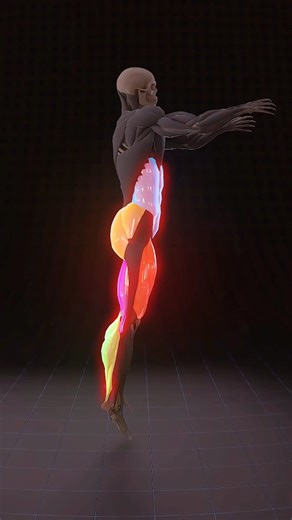 SynerMuscle on Instagram: "Build explosive power from the ground up with jump squats. Load, explode and land with control for stronger legs and better coordination. #jumpsquats #powertraining #legday #synermuscle"