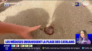 Marseille: la plage des Catalans envahie par des méduses | BFM Marseille Provence