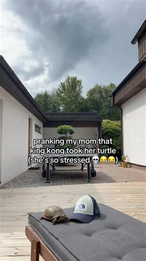 Respectfully, I am not fighting King Kong 💀 #aiprank #ai #prank #kingkong #mom