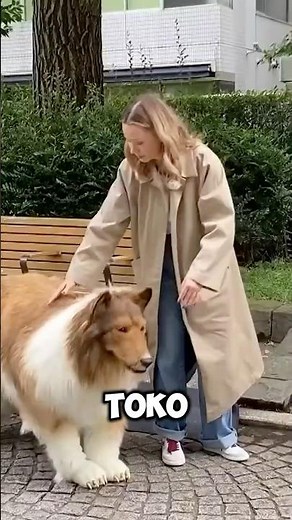 These are people who turned themselves into animals! 🐍🐾😱