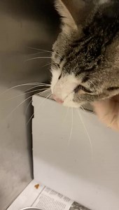 22 reactions · 15 shares | PANLEUK EXPOSED (resides in a cage near a...