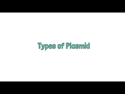 Different Types of Plasmid.