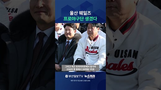 울산 웨일즈 프로야구단 생겼다