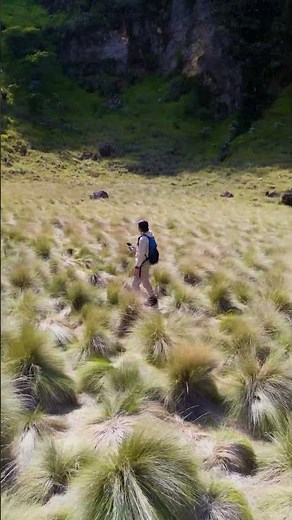 EIGER Speedtrek di Gunung Sumbing