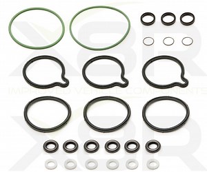 Universal Bosch Common Rail CP1 High Pressure Fuel Pump O-Rings Seal Seals Repair Fix Kit Leaks Instructions Install Guide