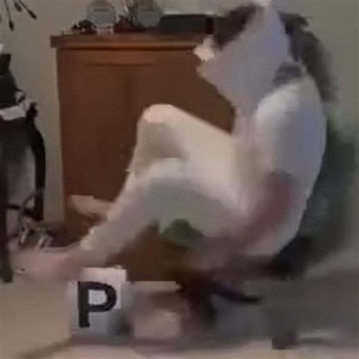 Tim Hecker 2 - Bart_Simpson_Laughing​.​mov