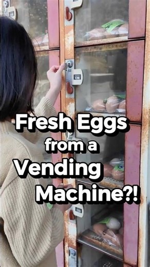 Fresh Eggs from a Vending Machine?!🥚 #shorts