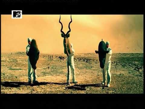 Empire of the Sun - Standing on The Shore (MTV Austria, 2009, 1080p25)