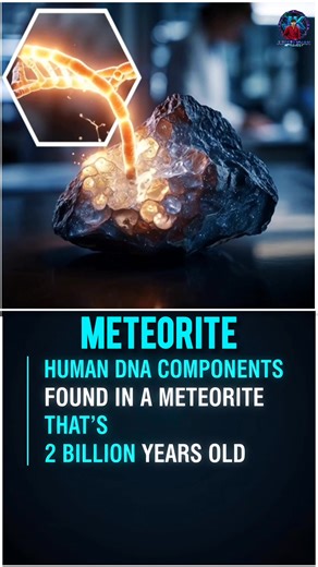  Are We Stardust? DNA Building Blocks Discovered in Ancient Space Rock! #Meteorite #DNA #Astrobiology #SpaceMystery #OriginOfLife #ScienceFacts #CosmicDiscovery #ViralScience #2BillionYears #Stardust | Junaid Khan | Facebook