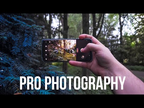 I used the full Power of the OnePlus 11's Camera! Big change!