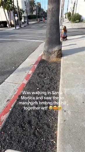 325K views · 83K reactions | It doesn’t get more California core than this  #LA #LABucketList (: @grlswirl ) | Los Angeles Bucket List | Facebook