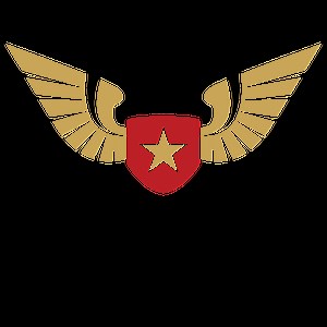 About Us — The Wingman Foundation