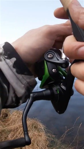 Spinning a lizard in the channel #fishing #casting #spinning #bass #bait #lure #gopro