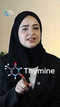DNA & RNA | Cell & Tell