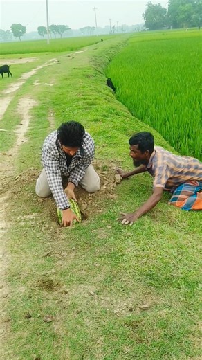 Epic Hidden Watermelon Prank! 😂 | Hilarious Street Short