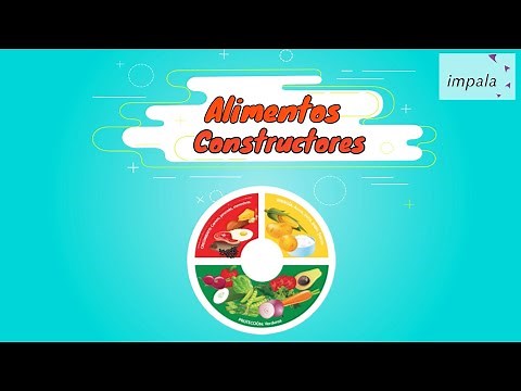 Conociendo los Grupos de Alimentos - Alimentos Constructores