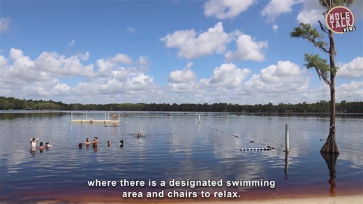 4.5K views · 84 reactions | Florida State University students having fun in the sun! This episode of #NoleTalkNews highlights FSU’s Lakefront Park during FSU Campus Rec “Lake Days” event! ⛱️ | Florida State University | Facebook