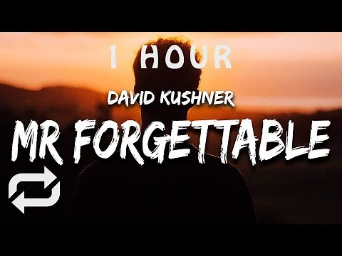 [1 HOUR 🕐 ] David Kushner - Mr Forgettable (Lyrics) hello hello are you lonely