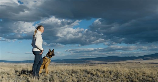 51-year-old sells protection dogs for $175,000 each on Montana ranch