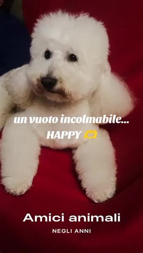 Video di claudia64_ (@luna17364) con Sempre Per Sempre (live 2010) - Fiorella Mannoia