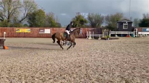 Some of our horses putting in great rounds at the arena eventing in kilossery on Sunday #horses #ponies #castlebridgeequestrian
