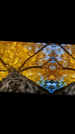 21 reactions · 3 comments | Missouri Botanical Garden - #stl #mobotgarden #stlouismo #explorestlouis @mobotgarden @explorestlouis @visitmo | Gary Adams Artwork | Facebook