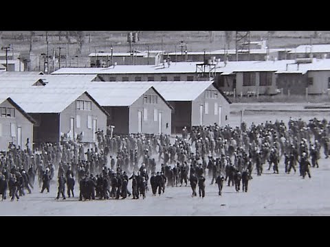 近代戦史上最大1104人に及ぶ日本人捕虜脱走事件の深層とは／映画『カウラは忘れない』予告編