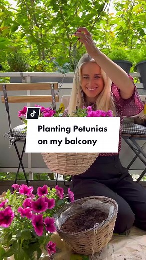 Designable Home & Garden on TikTok