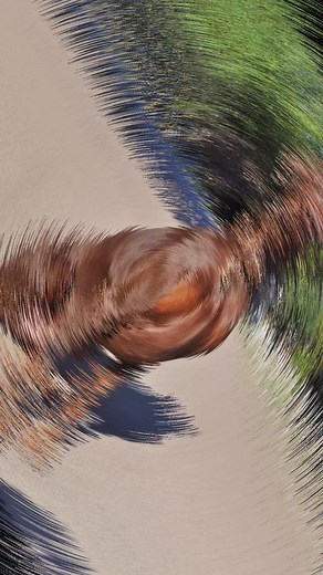 meet luna!! 🌖❤️‍🔥 #dobermanshepherd #dobermansheperdmix #doberman #germanshepherd #puppy