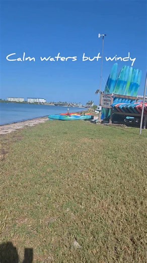 #discoverdunedin #beachlife #dunedinflorida #dunedincauseway #dunedincausewaybeach | Dunedin - Honeymoon Island Beach Life & More