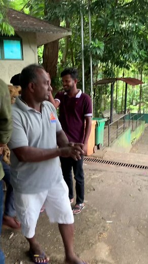 Simba🫶🏻🥹♥️ #dehiwalazoo #dehiwalazoologicalgarden #lioncub #simba