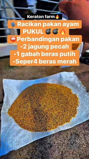 Perbandingan pakan ayam pukul😁😎🔥✋💣💣💣#CapCut #ayambangkok #peternakmuda #keratonfarm #ayam #pakanternak #positivevibes #viralvideo #trendingvideo #trencapcut #trending #viral #ayambangkoksuper #fyp #peternakmudaindonesia #pakoy #fypシ゚viral🖤tiktok #fypシ゚ #fypppppppppppppppppppppp #trendingvideostiktokpk # #hanyasekedarhiburankalauadaygbersangkutanmohonmaaflahirdanbatinbolo | Keraton Farms