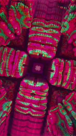 Totally Trippy (@totallytrippy)’s videos with original sound - luvandrew