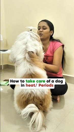 what to do when dog is in heat/ periods🩸#periods #takecare #periodpain #dogcare #informative #short