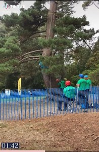 7M views · 29K reactions | That tree we climb 6_6 | Riotheart | Facebook