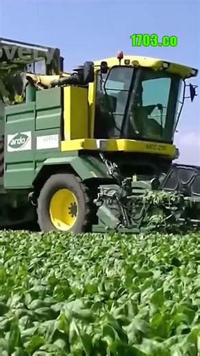 Mind-Blowing Harvest: America's Farming Power Unleashed!