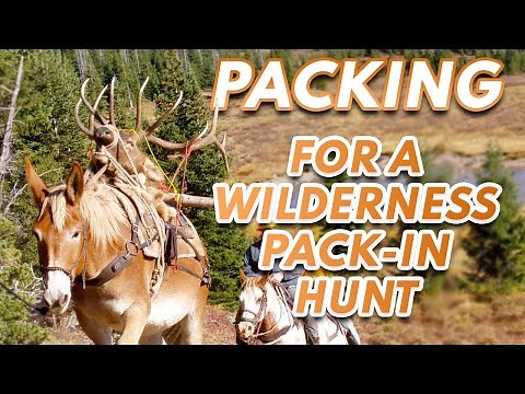 Packing for a Wilderness Horse or Mule Pack-In Hunt - How the gear gets packed!