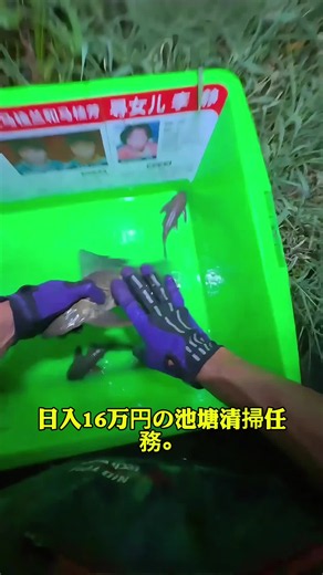 プレコの定着理由と早期管理の重要性