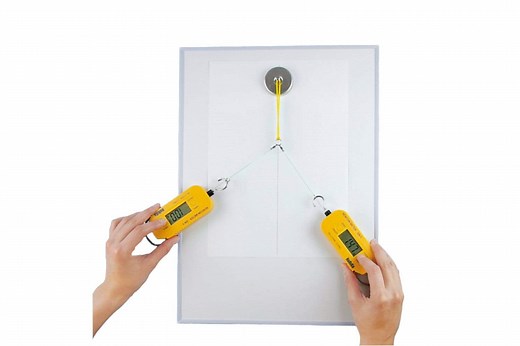 Digital Newton Meter - Arbor Scientific