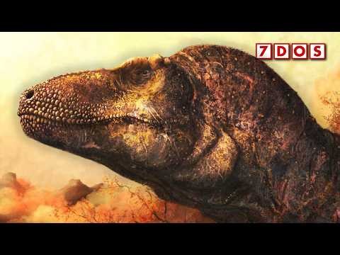 We Thought We Knew T. rex - We Were Wrong
