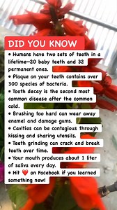Teeth Facts Dentists Never Tell You 😬🦷 #dentalfacts #healthfacts #viralreels | Bangla Quiz
