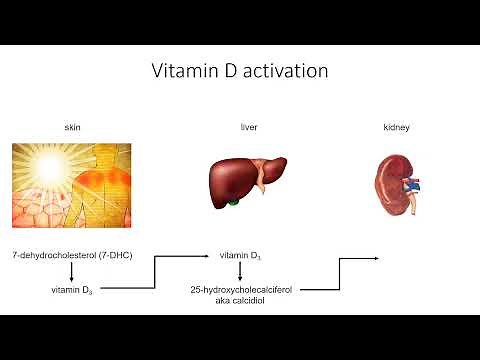 Vitamin D activation