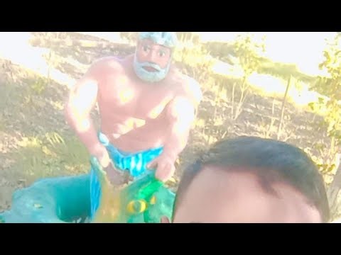 “Bagiche me Nikla Haathi 🐘 | Live Masti 🌿😂”---✔