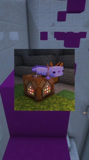 Nacho Rodriguez on Instagram: "Como Conseguir el Ajolote Morado en Minecraft . . . . . . . . . . . . . . . . . . . . . . . . . . . . . #minecraft #minecrafttrucos #minecraftbuildings #minecraftbuild #minecraftcake #minecraftdrawing #minecrafthouse #minecraftideas #minecrafts #fpy #viral #parati #reels #reel #reelsinstagram #compas #compa #amigos #bff"