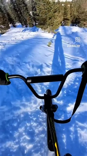 SkiByk on Instagram: "Kody shredding in the Northwest @skibikenw"