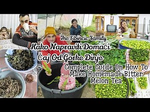 KAKO NAPRAVITI DOMAĆI ČAJ OD GORKE DINJE | COMPLETE GUIDE ON HOW TO MAKE HOMEMADE BITTER MELON TEA